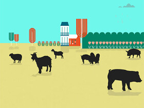 Portrait Woher kommt mein Fleisch? © The European Consumer Organisation, BEUC