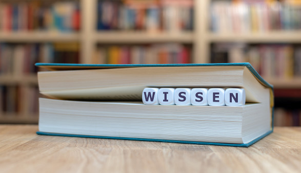 Würfel zwischen Buchseiten bilden das Wort Wissen.