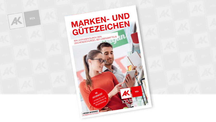 © stokkete - Adobe Stock, AK Wien Cover der Broschüre