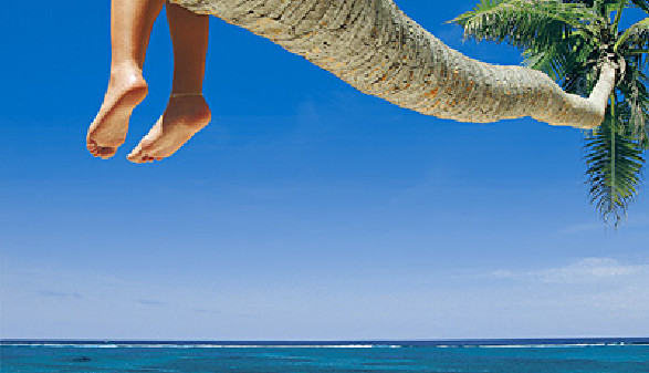 Füsse hängen von der Palme am Strand