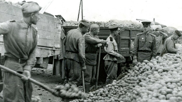 "Erdäpfel für die Wiener:innen" im Jahr 1945 © ÖGB "Erdäpfel für die Wiener:innen" im Jahr 1945