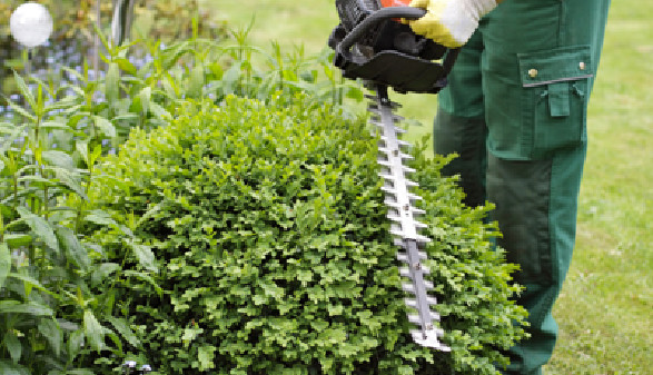 Bekommen Sie Unterstützung bei der Gartenarbeit, dann bezahlen Sie Ihre Helfer mit Dienstleistungsschecks!