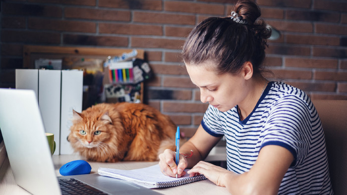 © olezzo, stock.adobe.com Junge Frau arbeitet zu Hause, die Katze sieht zu. © olezzo, stock.adobe.com
