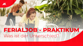 Ferialjob, Praktikum