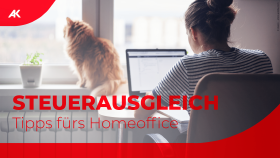 Frau mit Katze im Homeoffice