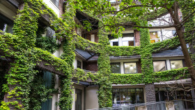 Begr&uuml;nter Innenhof mit Pflanzen &copy; Franz Pfluegl, stock.adobe.com