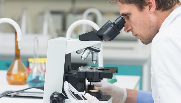Ein Mann im Labor schaut durch ein Mikroskop.